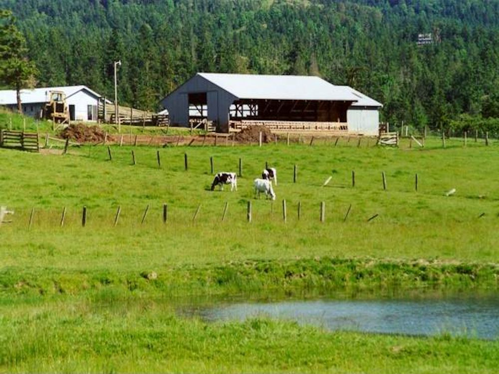 Agricultural nitrate sources